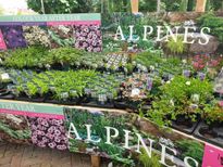 ALPINES