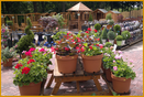 Garden centre