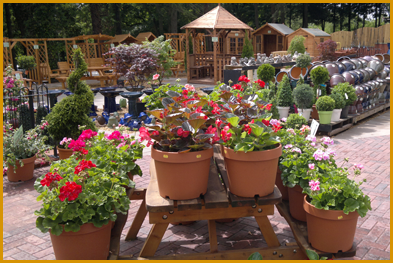 Garden Centre